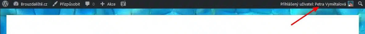 Admin bar - profil