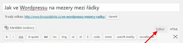 Wordpress HTML editor