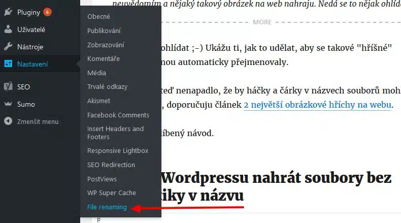 Nastavení pluginu File Renaming on Upload
