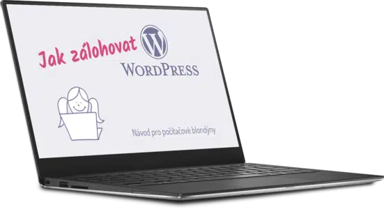 Online kurz Jak zálohovat web na WordPressu
